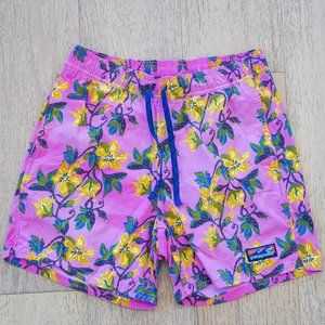 Patagonia Men's Volley Shorts